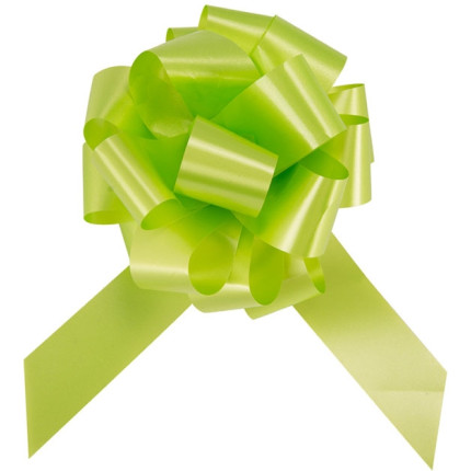 COCCARDE PER AUTO (20 PEZZI)