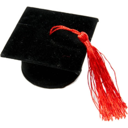 TOCCO PORTACONFETTI LAUREA ( 6 PEZZI)