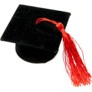 Tocco portaconfetti laurea (6 pezzi)