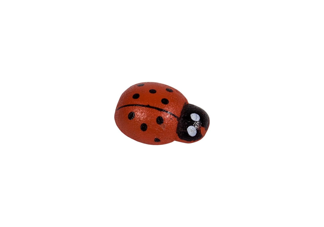 COCCINELLE CON BIADESIVO (120 PEZZI)