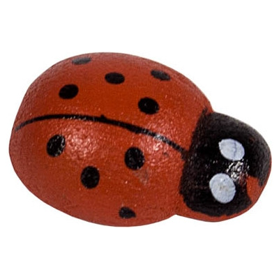Coccinelle con biadesivo (80 pezzi) 2