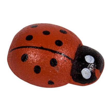 COCCINELLE CON BIADESIVO (80 PEZZI)