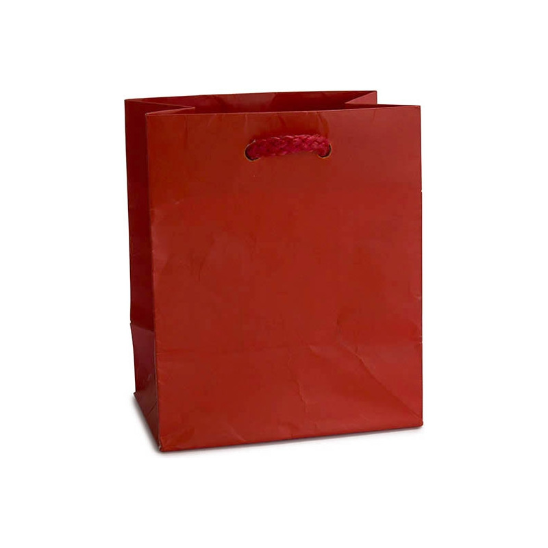 SACCHETTI PLASTIFICATI OPACHI CON CORDA COTONE