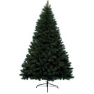 Albero di natale di canada spruce