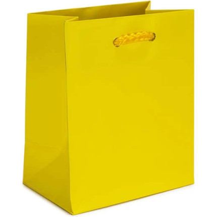 SACCHETTI PLASTIFICATI OPACHI CON CORDA COTONE