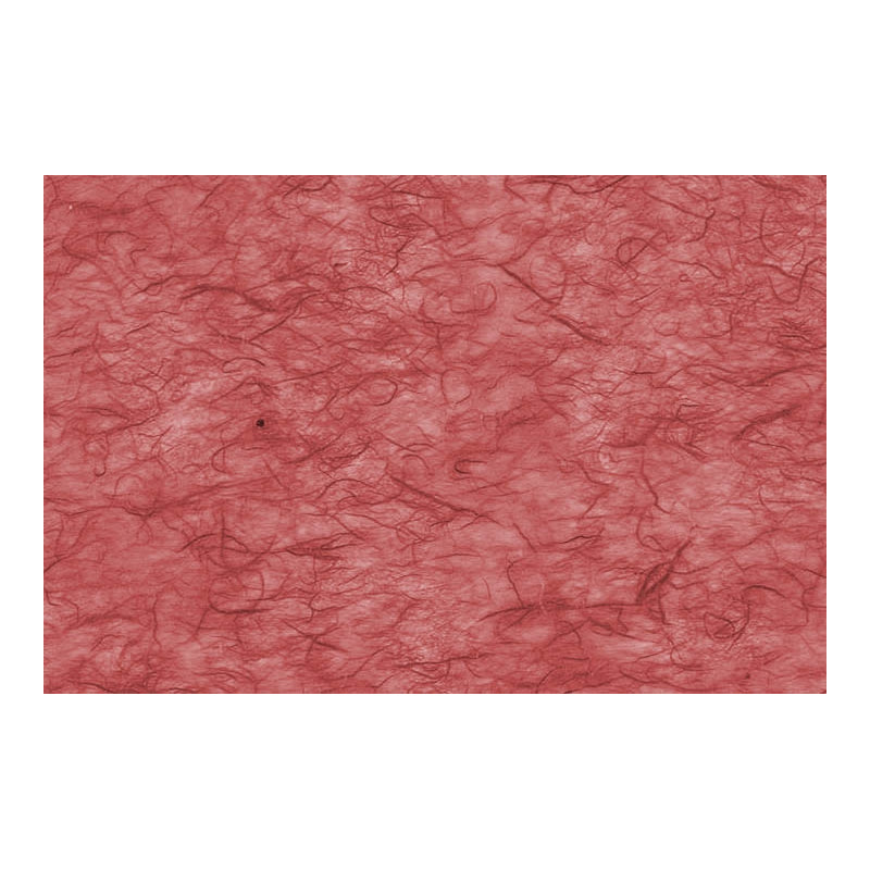 CARTA DI RISO (25 FOGLI)