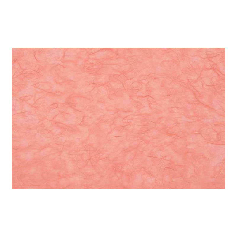 CARTA DI RISO (25 FOGLI)