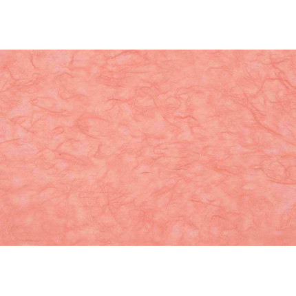 CARTA DI RISO (25 FOGLI)