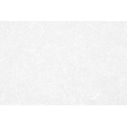 CARTA DI RISO (25 FOGLI)