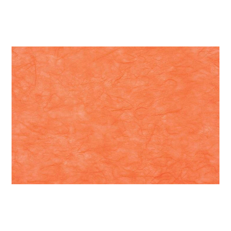 CARTA DI RISO (25 FOGLI)