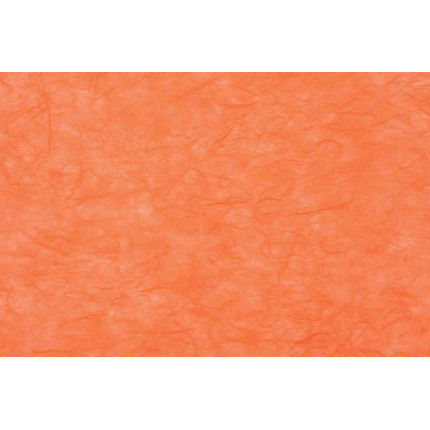 CARTA DI RISO (25 FOGLI)