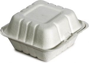 Porta Hamburgher Bio in Bagassa chiuso