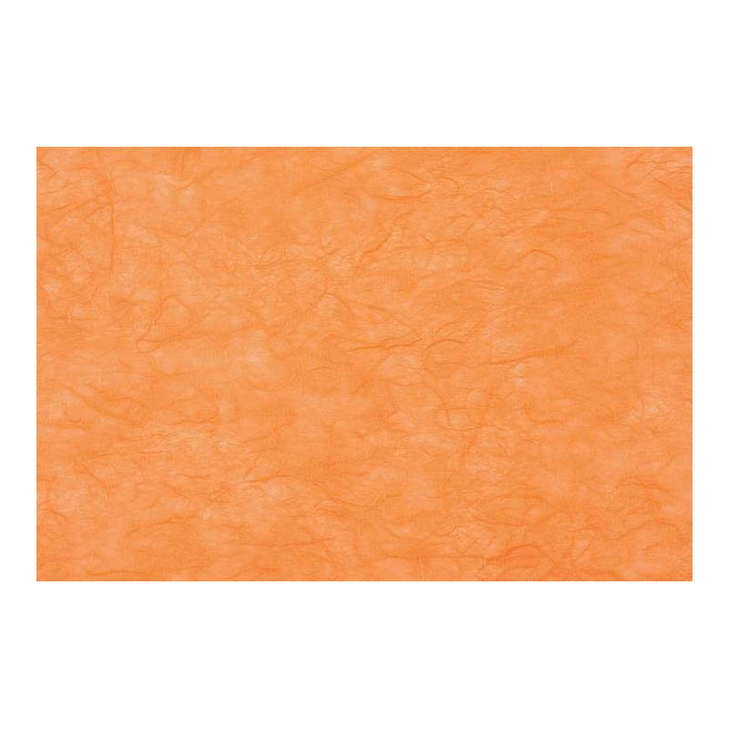 CARTA DI RISO (25 FOGLI)