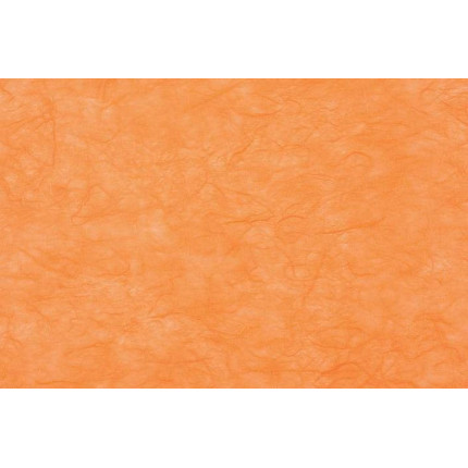 CARTA DI RISO (25 FOGLI)