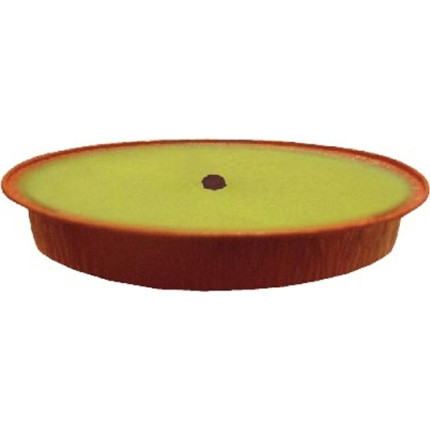 RICARICA CITRONELLA | Vendita online all'ingrosso b2b