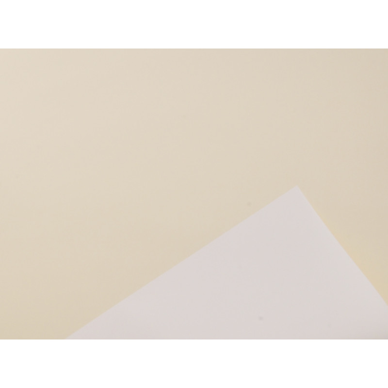 Polipropilene crema e oro