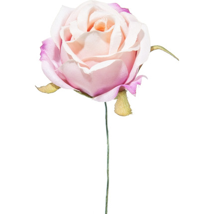 Pick boccioli di rosa (12 pezzi)
