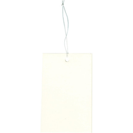 TAG IN CARTONCINO (48 PEZZI)