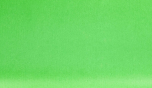 CARTA VELINA (24 FOGLI) VERDE PRATO