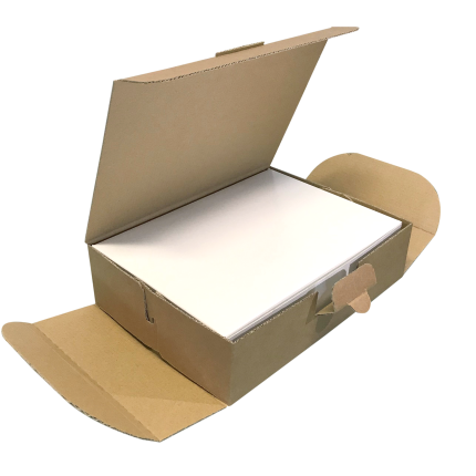 delivery box in cartoncino