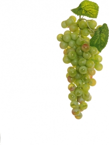 Grappolo d'uva verde 15 cm