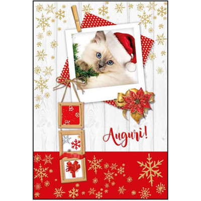 Biglietto auguri con gattino