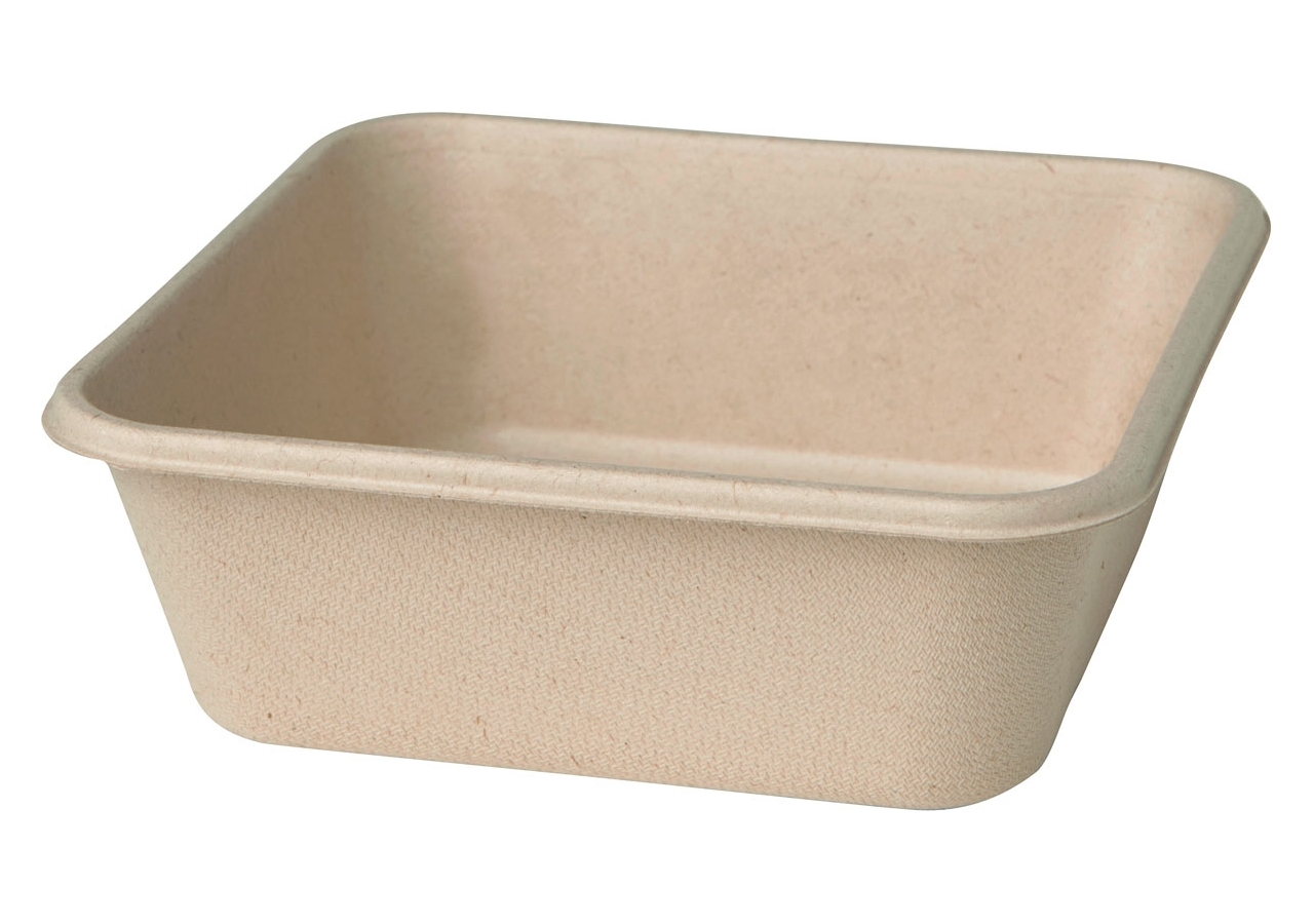 vaschetta quadrata in bagassa eco green sostenibile e microondabile delivery ingrosso b2b online
