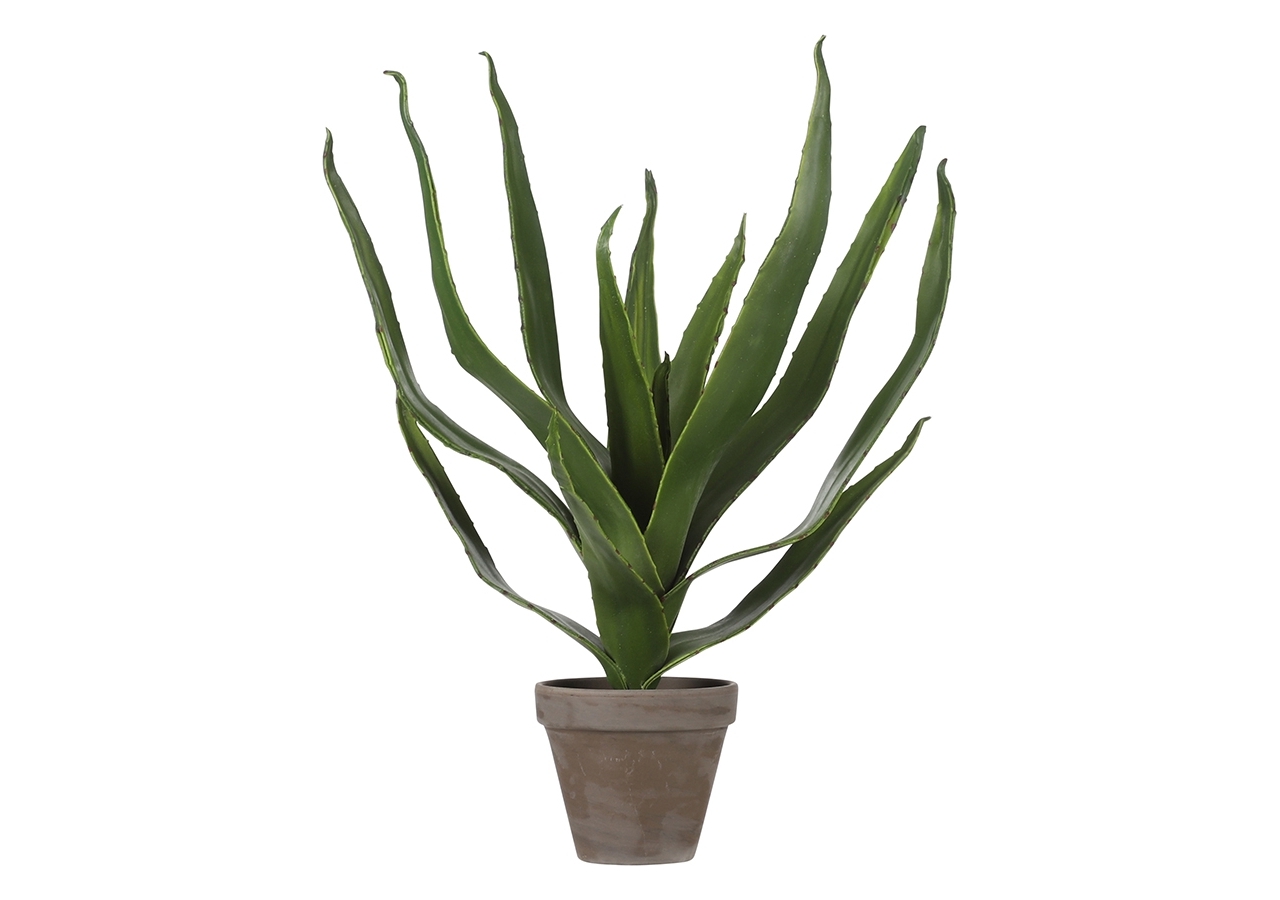 Aloe vera con vaso 45cm