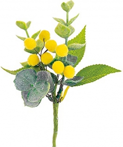 Pick con mimosa gialla (12 pezzi)