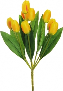 Mazzo tulipani gialli