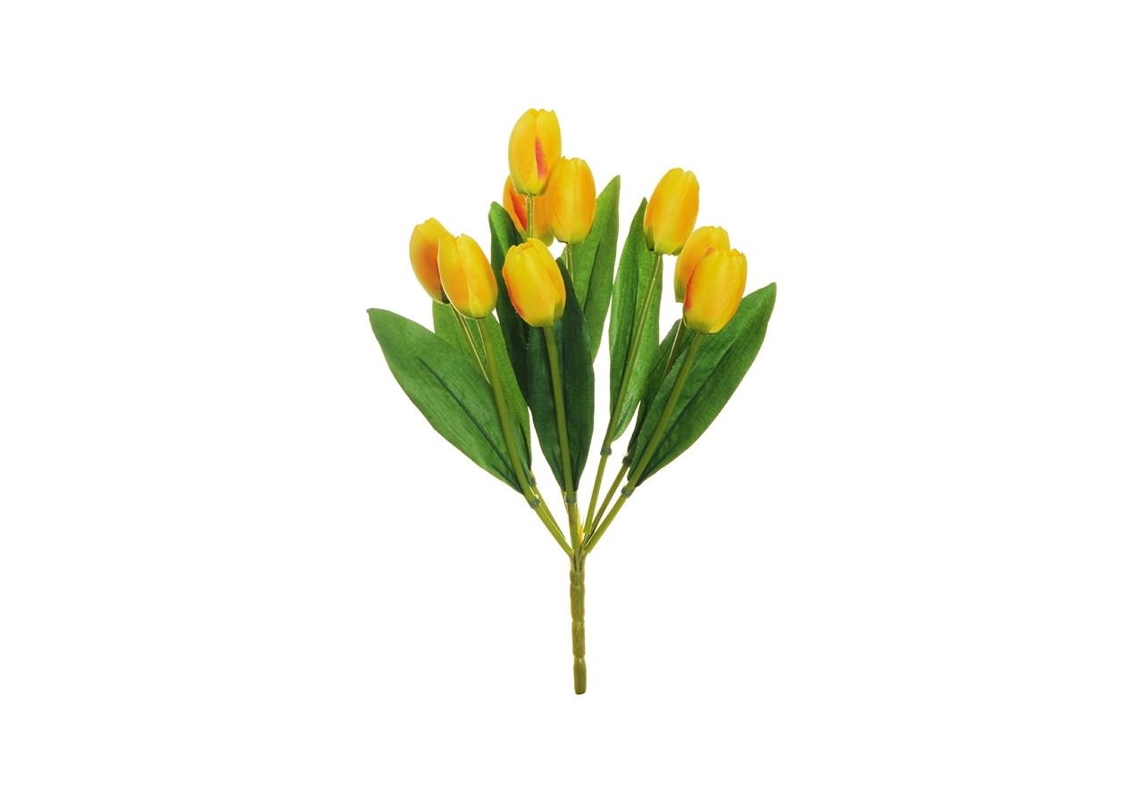 Mazzo tulipani gialli