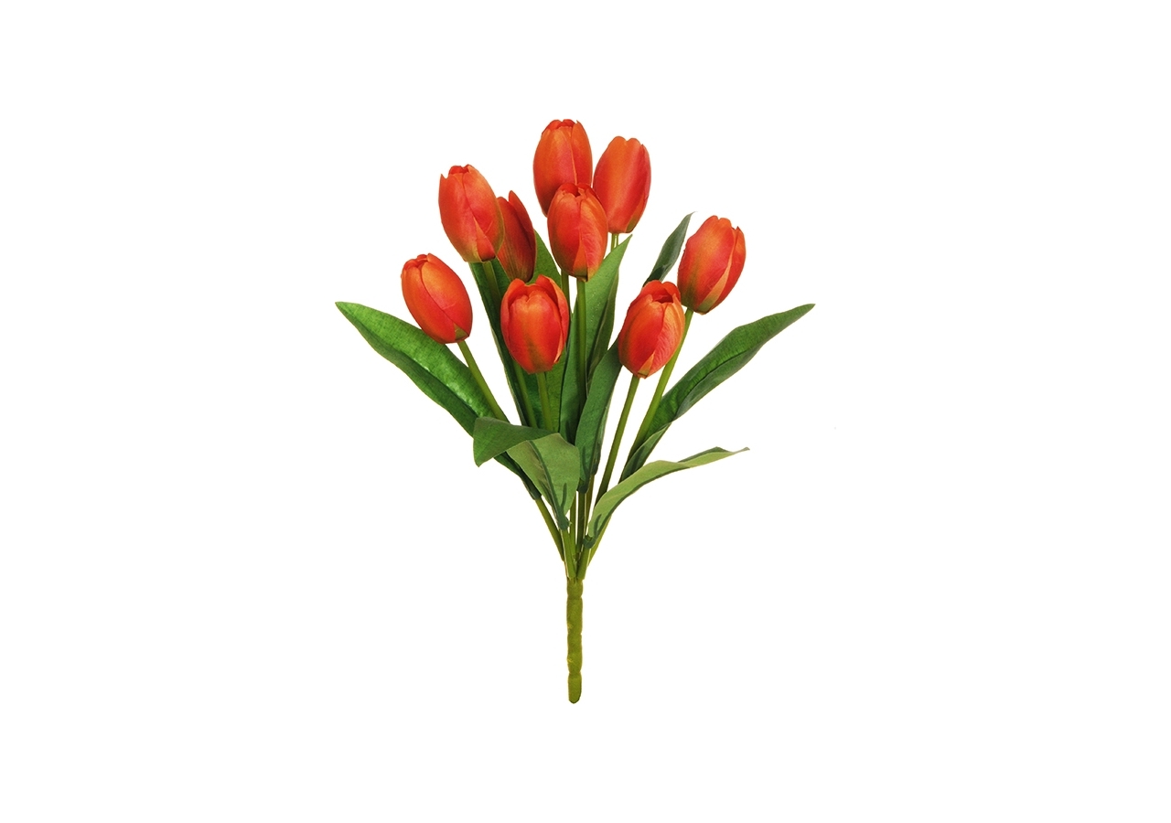 Mazzo tulipani arancioni