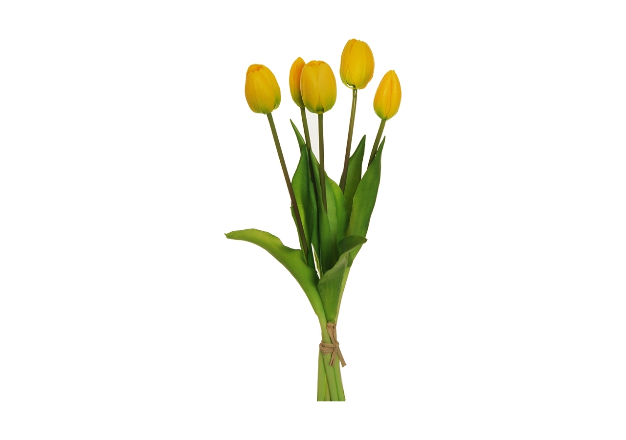 Mazzo 5 tulipani gialli