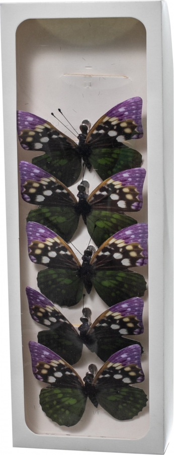 Farfalle con clip in confezione da 6 pezzi