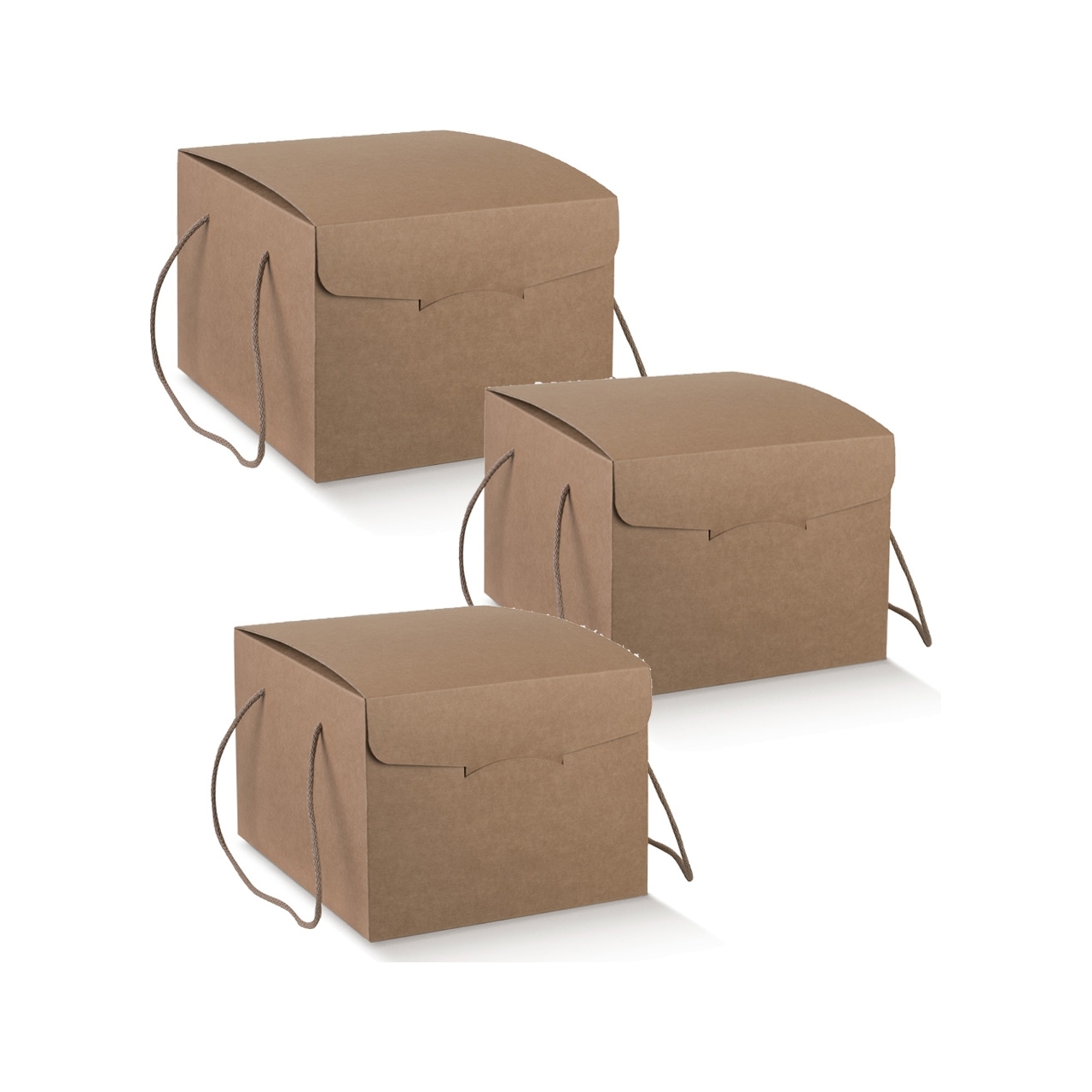 Box contenitore con cordini colore avana per servizi delivery o per regalo Natale Pasqua vendita Ingrosso online