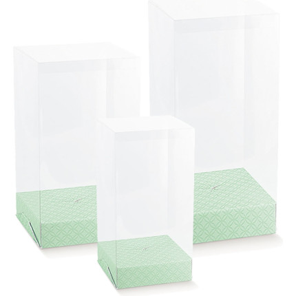 Scatola per uovo con fondo verde