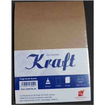 Cartoncini kraft avana (50 pezzi) 2