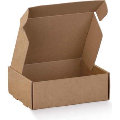 Scatola per delivery modello Fast avana