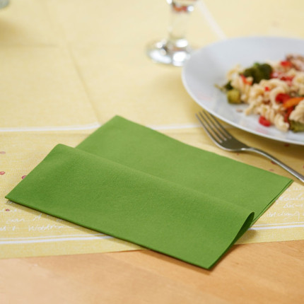 Tovaglioli Colorati Dunisoft Professionali (60 pezzi) - Vendita online all'ingrosso b2b - verde foglia ambientata 2