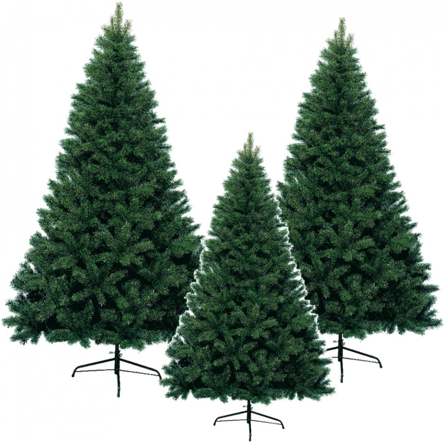 Albero di Natale Verde Canada Spruce - vendita online all'ingrosso