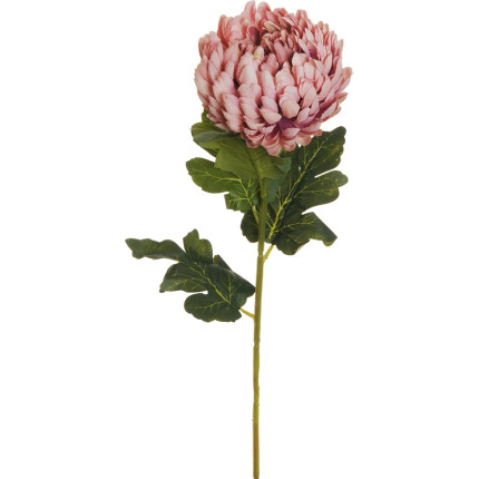 Ramo di crisantemo rosa