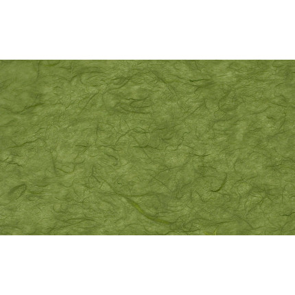 Carta di Riso Colorata 25 Fogli: Vendita Online all'Ingrosso