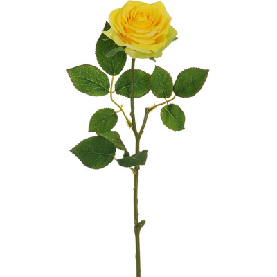 Rosa ecuador giallo