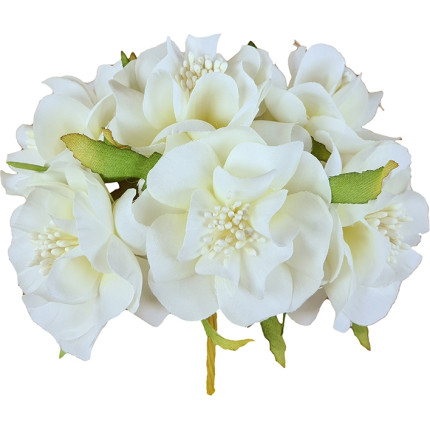 Pick gardenia, in confezione da 24 pezzi.