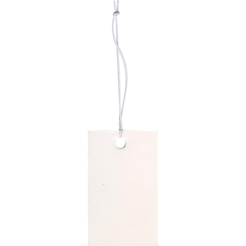 Tag in cartoncino da 48 pezzi