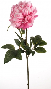 Fiori Seta Senza Stelo 40 Pezzi Teste Di Fiori Peonia Finti In Seta - Senza Stelo, Per Decorazioni Matrimonio, Centrotavola, Progetti Fai-Da-Te Confetti Matrimonio