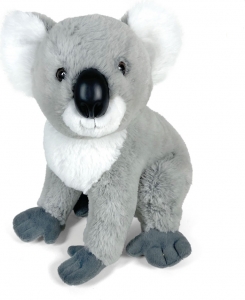 Koala seduto