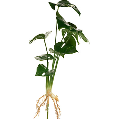 Pianta di Philodendro Artificiale