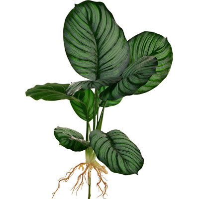Pianta artificiale Hosta verde