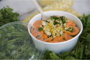 CIOTOLA CARTONCINO CIOTOLA CARTONCINO